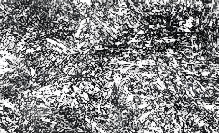 �ػ������w